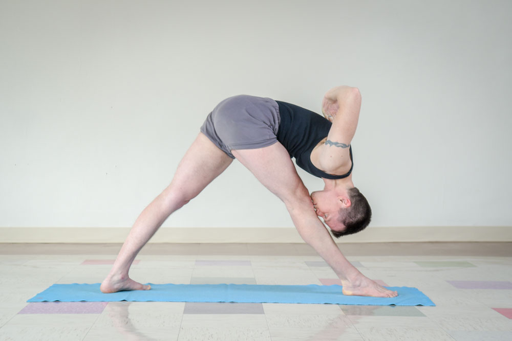 Aaron Fleming Iyengar Yoga