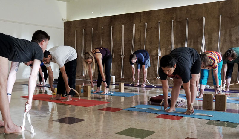 Introduction to Iyengar yoga course